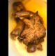 Over the course of a week, a girl records herself from a rear perspective as she takes a shit while sitting on a toilet. Poop action is clearly visible. Vertical format video. Over 14.5 minutes.